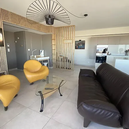 דירה De Luxe 4 Etoiles Avec Climatisation Et Parking A Canet-plage - Fr-1-750-74 קאנט אן רוסיון